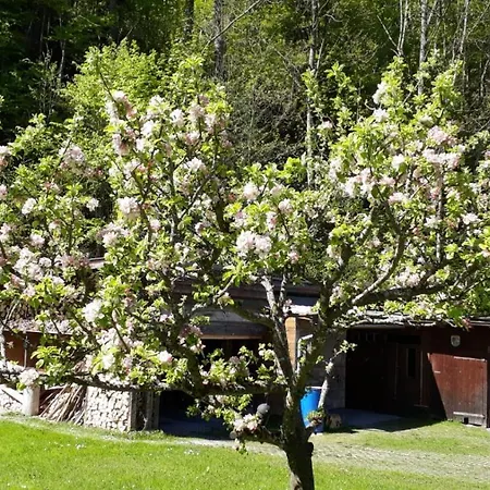 Kurparkfrieden Gasthof Mittenwald